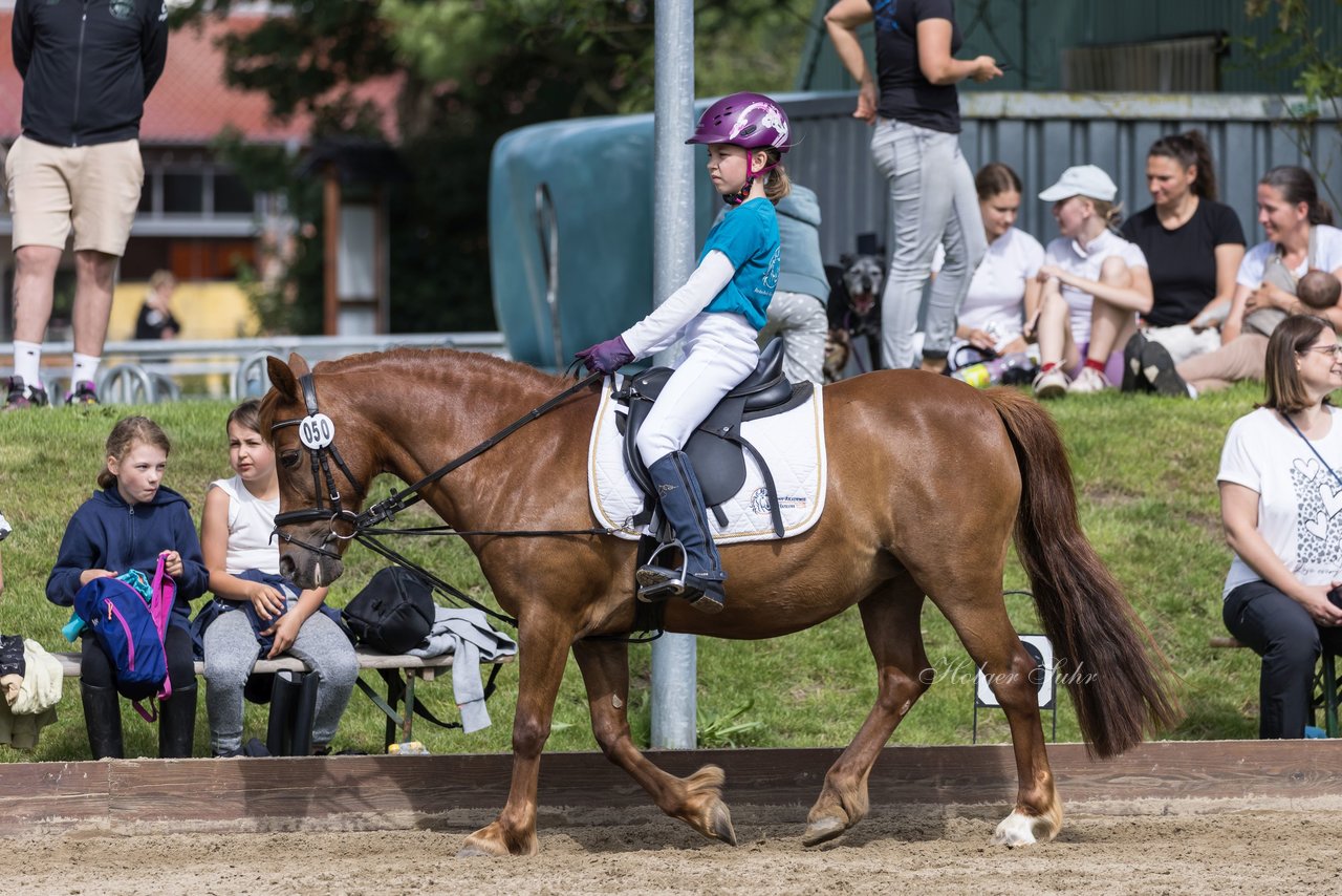 Bild 13 - Pony Akademie Turnier